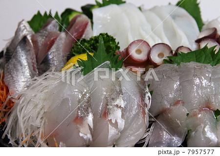 コチ、イワシ、タコのお刺身盛合せ コチ、イワシ、タコのお刺身盛合せ 7957577