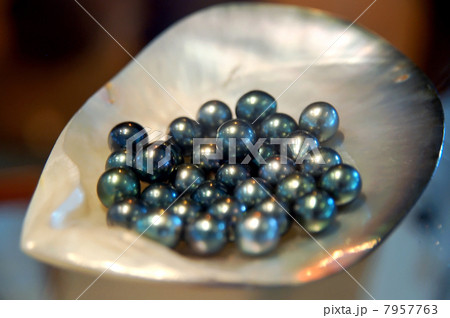 黒真珠とアコヤ貝 タヒチの真珠の写真素材 [7957763] - PIXTA