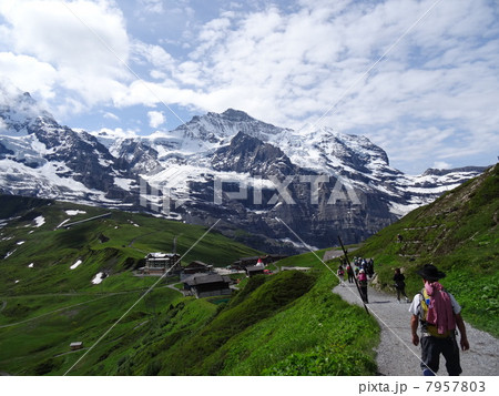 スイスアルプスの旅 クライネシャイデック スイスアルプスの旅 クライネシャイデック 7957803