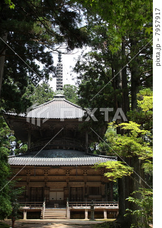 西塔 壇上伽藍 西塔 壇上伽藍 7957917