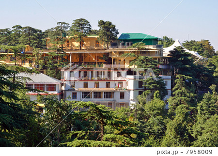 マクロードガンジのツクラカン 7958009