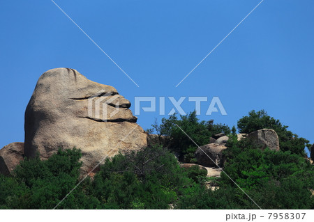 ニコニコ岩 7958307