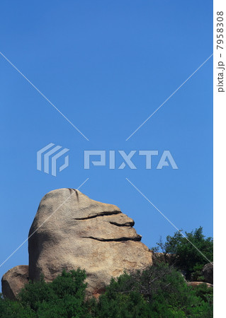 ニコニコ岩 7958308