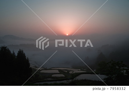 棚田の夜明け 7958332