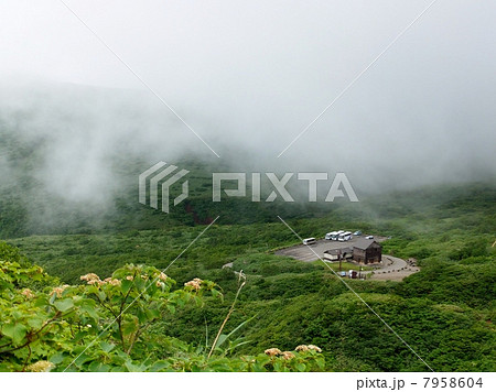 駒ヶ岳８合目 7958604