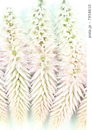 遊泳 遊泳 7958610