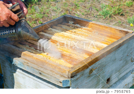beekeeper at work 7958765