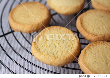 バニラサブレ バニラサブレ 7958994