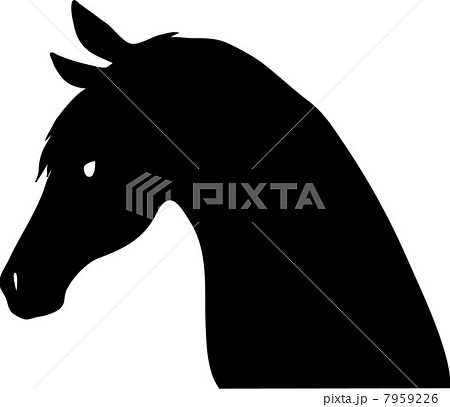馬の横顔のイラスト素材