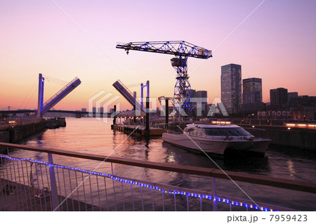 東京湾の夜景 7959423