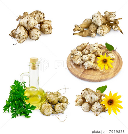 Jerusalem artichokes set 7959823