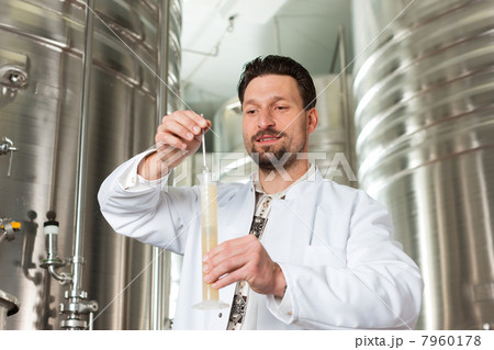 Beer brewer in his brewery examining 7960178