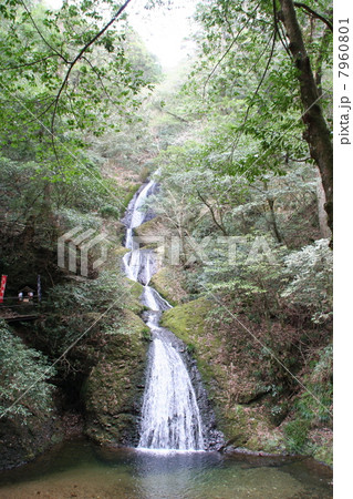 阿寺の七滝 7960801