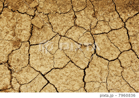 field of baked earth field of baked earth 7960836