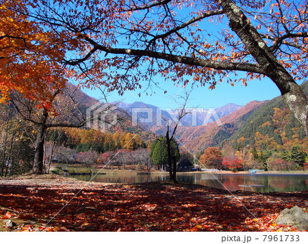中央アルプスの紅葉 7961733
