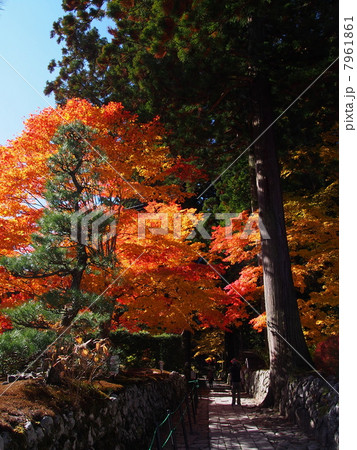 南信州・駒ヶ根 光前寺の紅葉 南信州・駒ヶ根 光前寺の紅葉 7961861