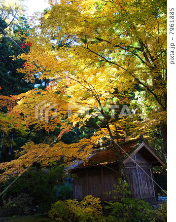 秋の光前寺 7961885