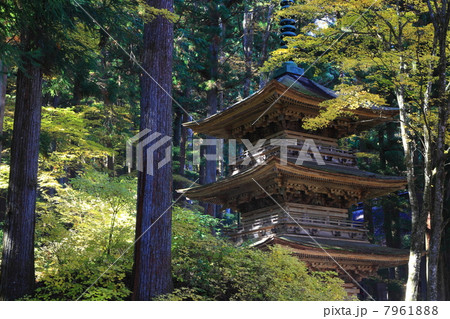 秋の光前寺 7961888