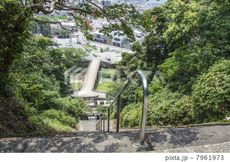 須賀神社より街の風景 7961973