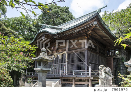 須賀神社本殿 7961976