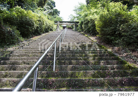 須賀神社石段 7961977