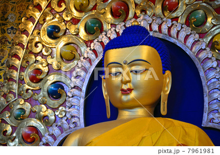 ダライ・ラマ寺院の仏像 7961981