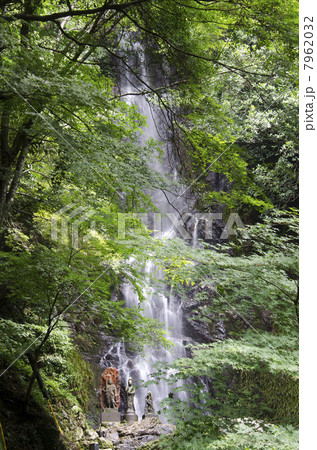 清水の滝 清水の滝 7962032