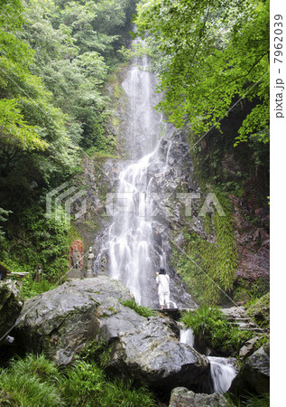 清水の滝 清水の滝 7962039