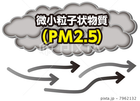 PM2.5-1 7962132