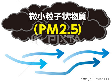 PM2.5-3 7962134