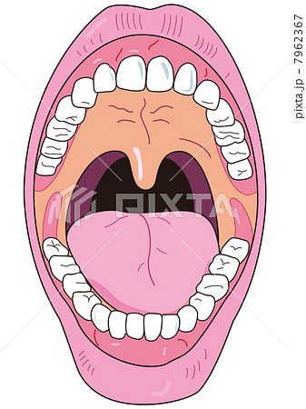 口の中のイラスト素材