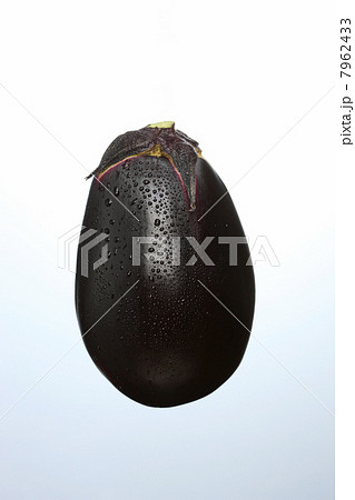 三豊なす 7962433