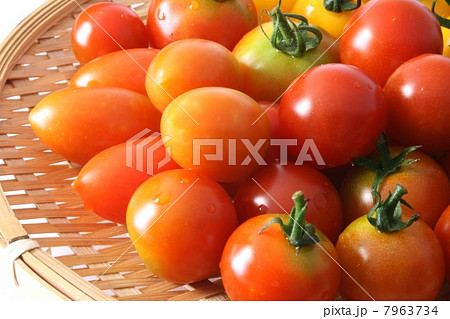 たくさんのミニトマト たくさんのミニトマト 7963734
