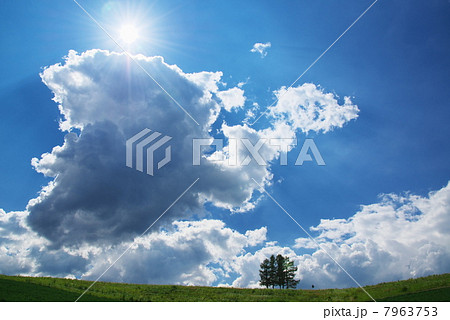 美瑛 太陽と夏空 美瑛 太陽と夏空 7963753