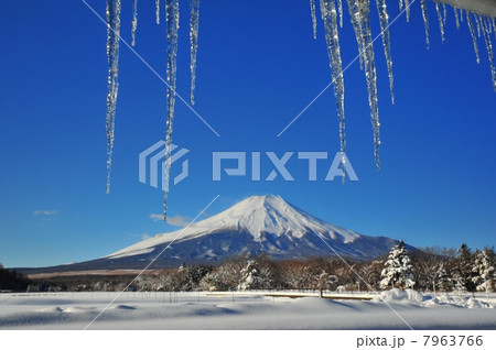 つららと富士山 つららと富士山 7963766