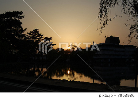 池の夕暮れ 池の夕暮れ 7963936