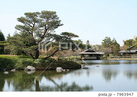 日本庭園　昭和記念公園 7963947