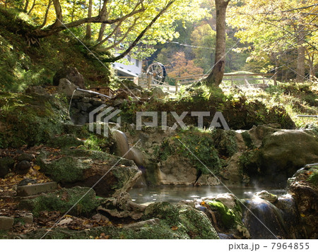自然の温泉 自然の温泉 7964855