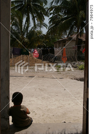 男の子の後ろ姿のシルエット 7964975