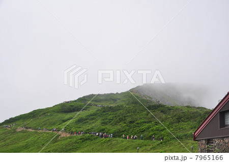 登山者の長い列 7965166