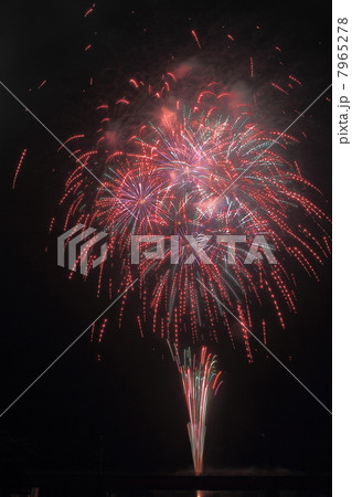 花火 7965278
