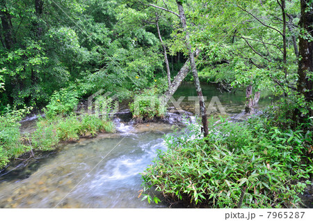 上高地　梓川 7965287