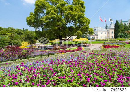 デンパーク 7965325