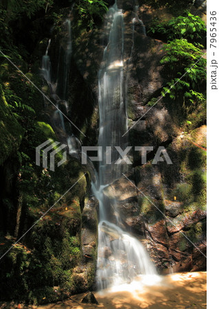 金引の滝 7965436