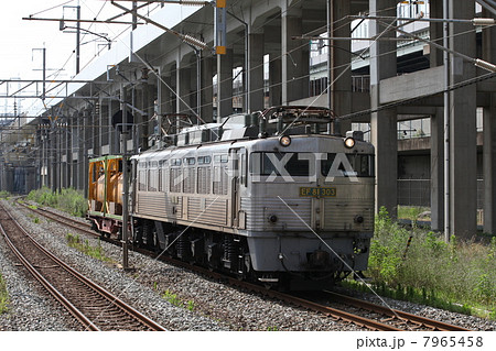 EF81 300番代牽引貨物列車 EF81 300番代牽引貨物列車 7965458