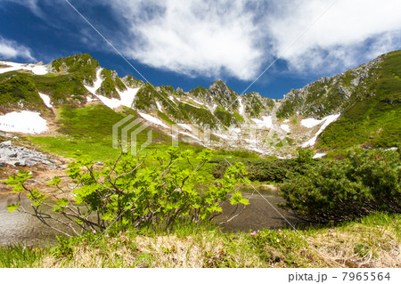 千畳敷カール 7965564