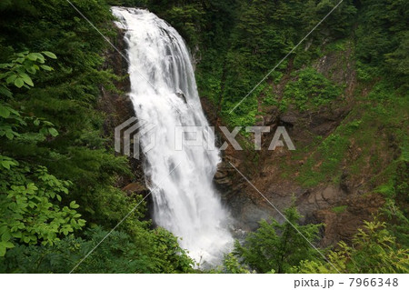 尾瀬　三条の滝 7966348