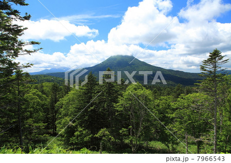 阿寒湖雌阿寒岳 7966543