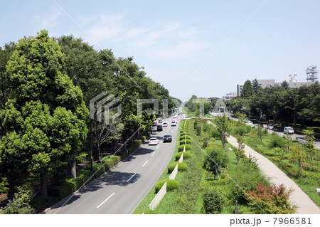 立川風景 7966581