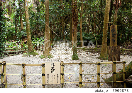 青島神社 投瓦所 7966878